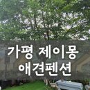 몽샴푸 | 애견동반 가평여행 제이몽 애견펜션 내돈내산 솔직후기!🏕