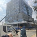 겔빠 이미지