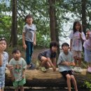그로브(grove)캠핑 이미지
