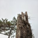 아트랜드 이미지