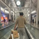 승진여객 | [EP.16] 26-27주 나트랑 태교여행 Day 1-2 (르모어호텔/반미판/CCCP커피/담시장/짜오마오/갓갓레스토랑)