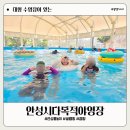 안성시 다목적 야영장 매점 | 안성 죽산 물놀이 수영장 안성시다목적야영장 당일치기도 가능