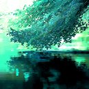 골인제약(주) 이미지