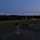 제주돗