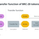 BRC-20 토큰 표준이란 무엇입니까? 개요 이미지