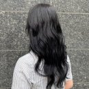 깔꼼 애견미용실 | 수유역미용실 _ 상주견도 있고 애견동반도 가능한...원장 에쉬블루염색 찐 후기 리미살롱 수유본점 (주차)