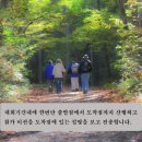 충주체육관 다목적경기장 이미지