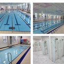 장림체육관 | 신평장림체육관 자유수영 강습 후기 한달강습 사하구 수영장 추천 사하구 국민체육센터랑 초급반 비교