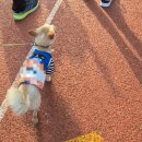 춘향 | [마라톤] 🏃‍♀️ 2025 남원 춘향 전국마라톤 대회 참가 후기