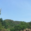 무궁화농원 이미지