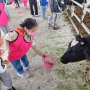 영웅목장 이미지