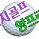 양프로골프스쿨 이미지