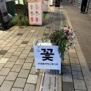 마곡역꽃집 발산역꽃집 미쉘플라워스튜디오 꽃다발 예쁘게 하는 곳