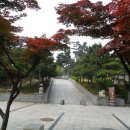 고려대역 1번출구 이미지