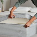 코알라홈 이미지