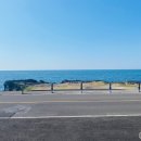 오션파노라마 이미지