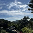 간식창고용담 | 청주 가볼만한곳 로컬푸드 직매장 낭성 로컬푸드 후기