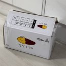 해남 영암 무안 스마트스토어 정동원 황금 밤고구마 달망고구마 내돈내산 솔직후기