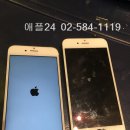 애플 24 이미지