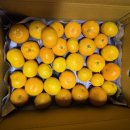 애월농장 이미지