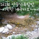 제263회 산들가족탐방 안내(계곡)-7월15일로 연기되었습니다 이미지