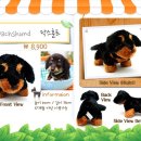 나의 단짝 반려동물 이미지