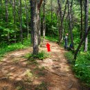 광영그라운드골프장 이미지