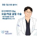 수서동물병원 | 송파 강아지 골절 요척골 골절 정강뼈 골절 수술 후기 낙상 [24시 리움동물병원]