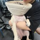 레시핏 낙성대점 | 낙성대PT, 레시핏 개인피티샵 추천하는 찐후기