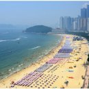 해운대해수욕장 이미지