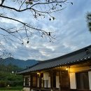 차꽃오미 | 경남 하동 감성숙소 한옥스테이 추천 | 차꽃오미 사랑방 후기