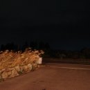 수스테이 이미지