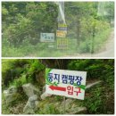 둥지박물관 | 용인 둥지 캠핑 후기입니다.