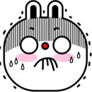 다모다 이미지