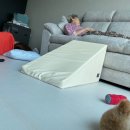 락노래타운 이미지