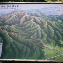 곡성-134 Daum카페