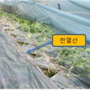 주간농사정보 제13호(2021.3.28. ~ 4.3.)