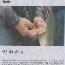 서강대학교 법학전문대학원 Daum카페