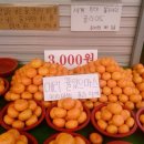 그냥저알아서죽을게요