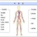 저혈압 치유원리 및 저혈압에 좋은 약선(약초)차 안내 이미지