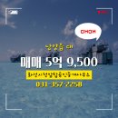 시청탑공인중개사사무소 네이버블로그