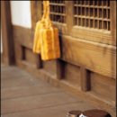 발효식품 이미지