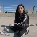 엔디와이(NDY) | 260522 리센느 원이 반응폭발 거제투어 트랙탑,바지,신발 정보(엔디와이/크록스)