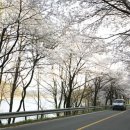 대청호두메마을 이미지