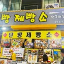 단빵 이미지