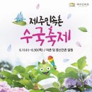 [올마이스] 제주민속촌 수국축제 이미지