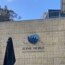 여행 DAY2 - 블루마운틴 투어 내돈내산 후기! 킹스테이블부터 블루 마운틴, 세자매봉, 시닉월드, 로라...