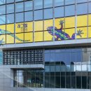 신선정형외과의원 이미지