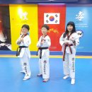 영남대 삼성태권도 이미지