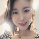 진달래 이미지